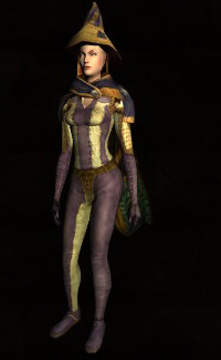 File:Traveller's Outfit Armour.jpg
