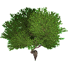 Terebinth Tree-icon.png