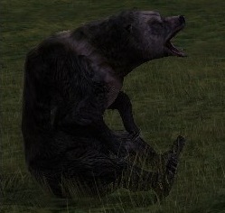 File:Field-bear.jpg