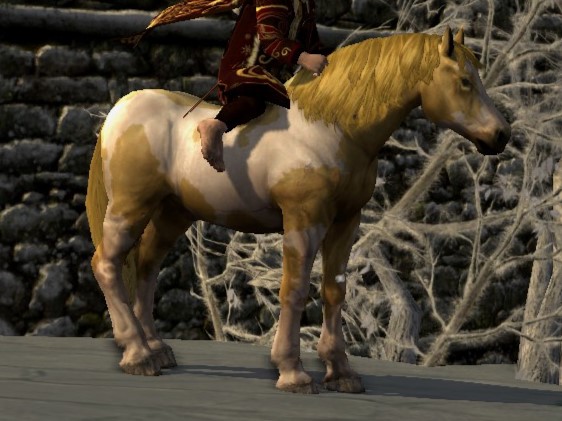 File:Tobiano Tan.jpg