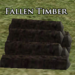 Image of Fallen Timber