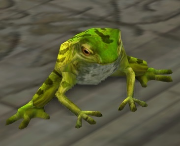 Pond Frog