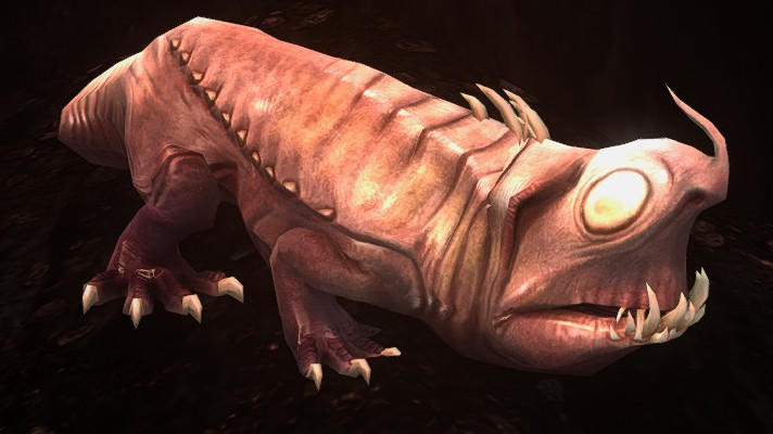 File:Mordor Salamander (Talath Úrui).jpg