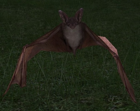 File:Great Brown Bat.jpg