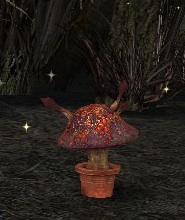 File:Blood-cap Mushroom.jpg