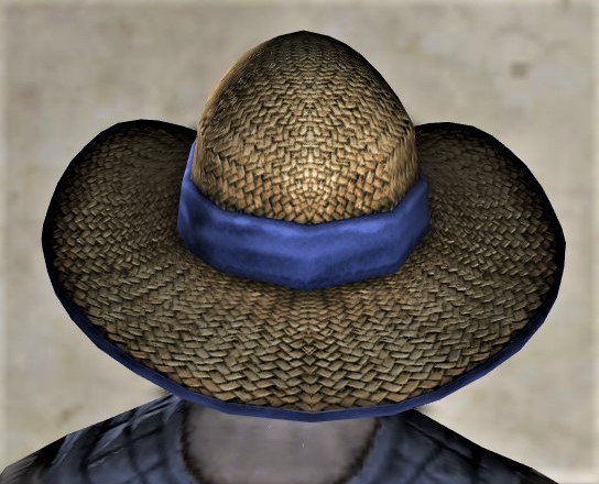 File:Short-brimmed Straw Sun Hat-back.jpg