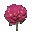 File:Smell the Roses-icon.png