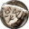 File:Aged Rune of Avoidance-icon.png