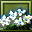 File:Pocket 79 (uncommon)-icon.png