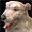 File:Dog.png