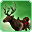 Elk 5 (skill)-icon.png