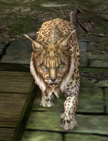Jangovar Lynx.jpg
