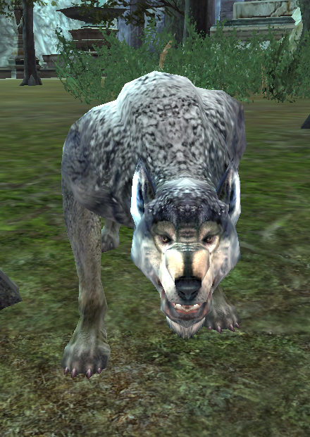 Clovengap Warg - Lotro-Wiki.com