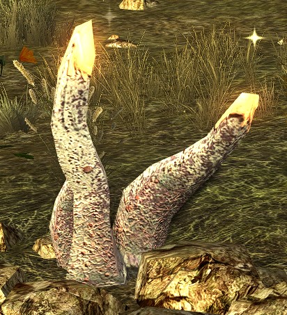 File:Afflicted Sapling.jpg