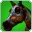 Prized Rivendell Steed(skill)-icon.png