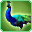 File:Blue Peacock-icon.png