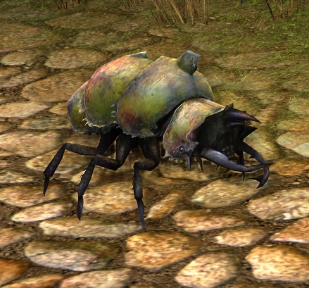 File:Golden Crystal Beetle.jpg