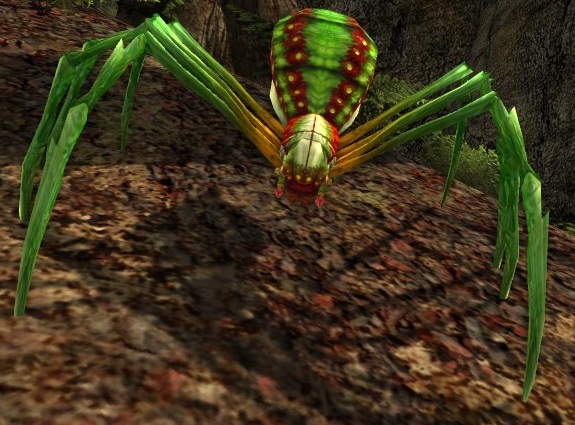 File:Flesh-gnawer Spider.jpg