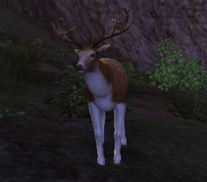 Great Glen-buck.jpg