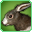 File:Pinto Rabbit-icon.png