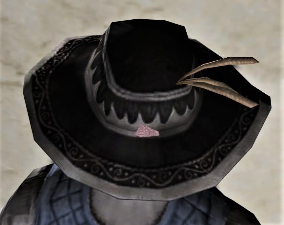 File:Farmer's Fancy Wide-brimmed Hat-back.jpg