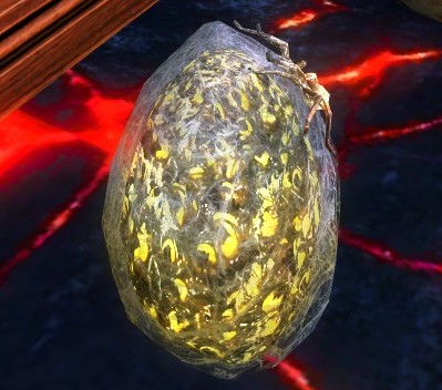 Bile-smothered Egg Sac
