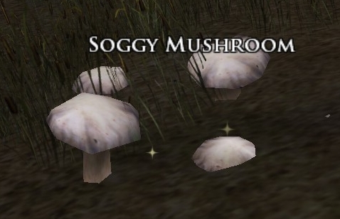 File:Soggy Mushroom.jpg