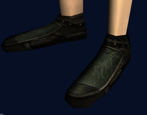 File:Superior Focusing Shoes of the Towers.jpg