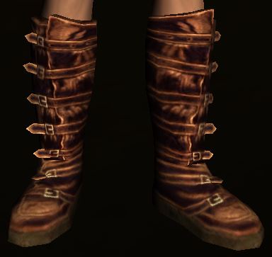 File:Leather Boots of the Eglain.jpg