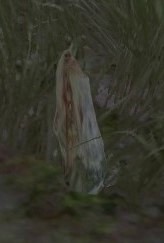Image of Strange Sigil