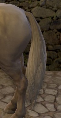 300px.jpg