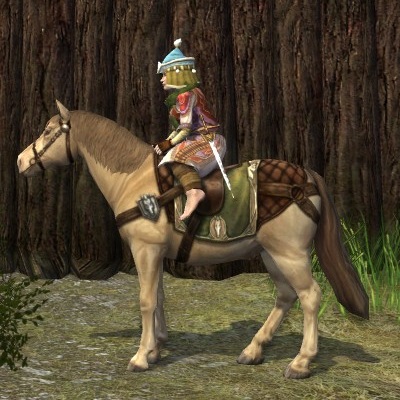 File:Prized Theodred's Riders Pony.jpg