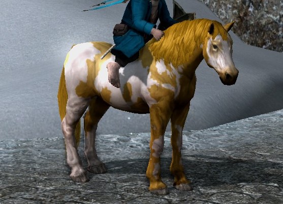 File:Overo Brown.jpg