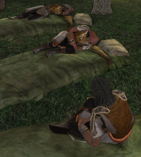 File:Injured Kinta.jpg