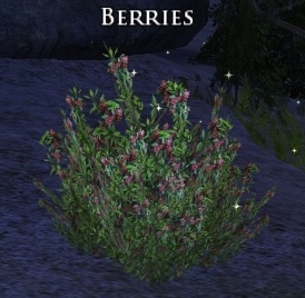 File:Berries (Treasure Hunt).jpg