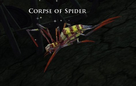 File:Corpse of Spider.jpg