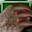 File:Makeshift Claws-icon.png