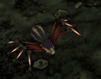 Mirkwood Hatchling (Critter) - Lotro-Wiki.com