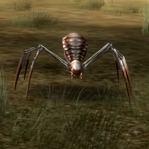 Creatures-Spiders And Insects.jpg