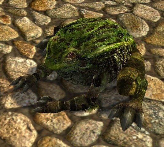 File:Bog-toad.jpg