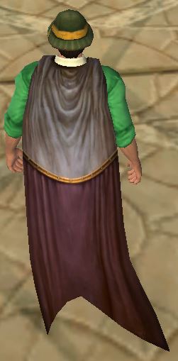 File:Woven Cloak Level 29 & 31 Vendor Violet.JPG