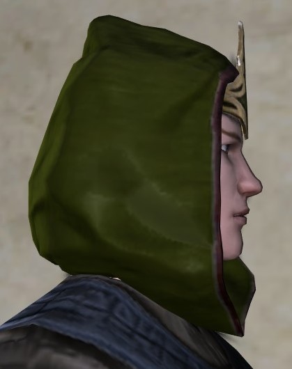 Item Pristine Discerning Delver S Hood Lotro Wiki