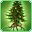 Yule Tree Huorn-icon.png