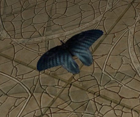 File:Black-winged Butterfly.jpg
