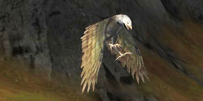 File:Darting North-hawk.jpg