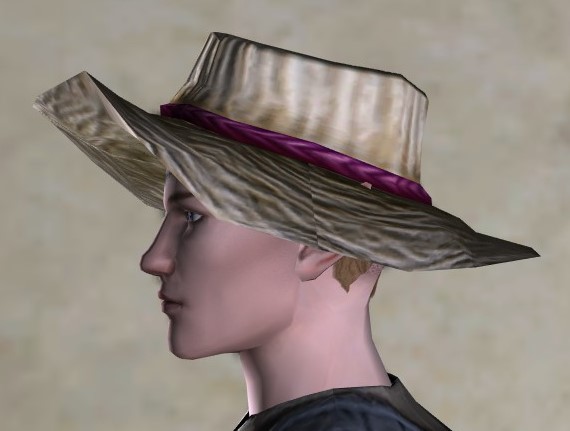 File:Sightseer's Straw Hat (side).jpg