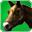 Steed of the Dusk-watch (Skill)-icon.png