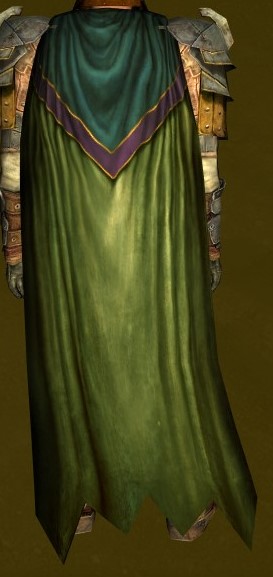 File:Dunedain Fighter's Cloak.jpg