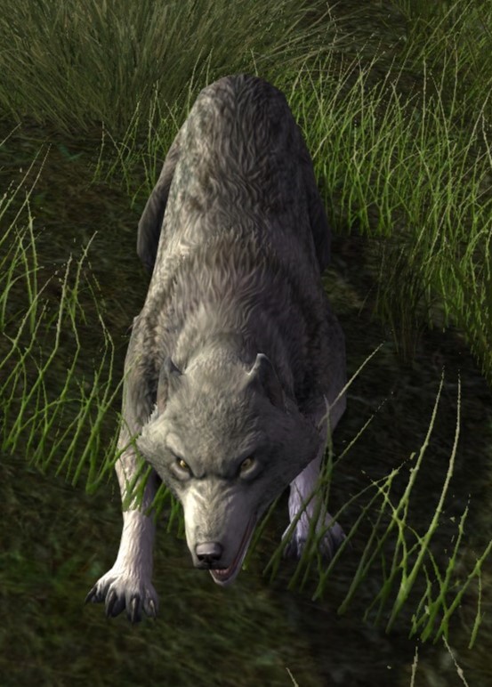 Wild Grey Wolf - Lotro-Wiki.com