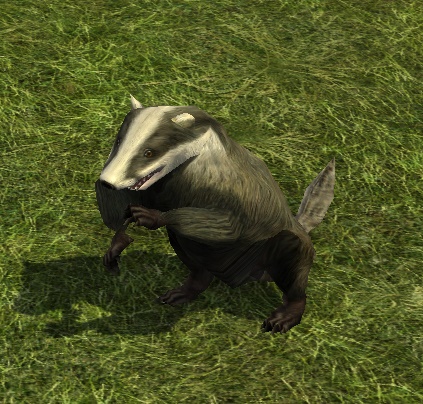 File:Badger (Pet).jpg